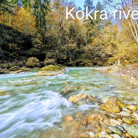 Domen'S Cozy Rentals Kranj Buitenkant foto