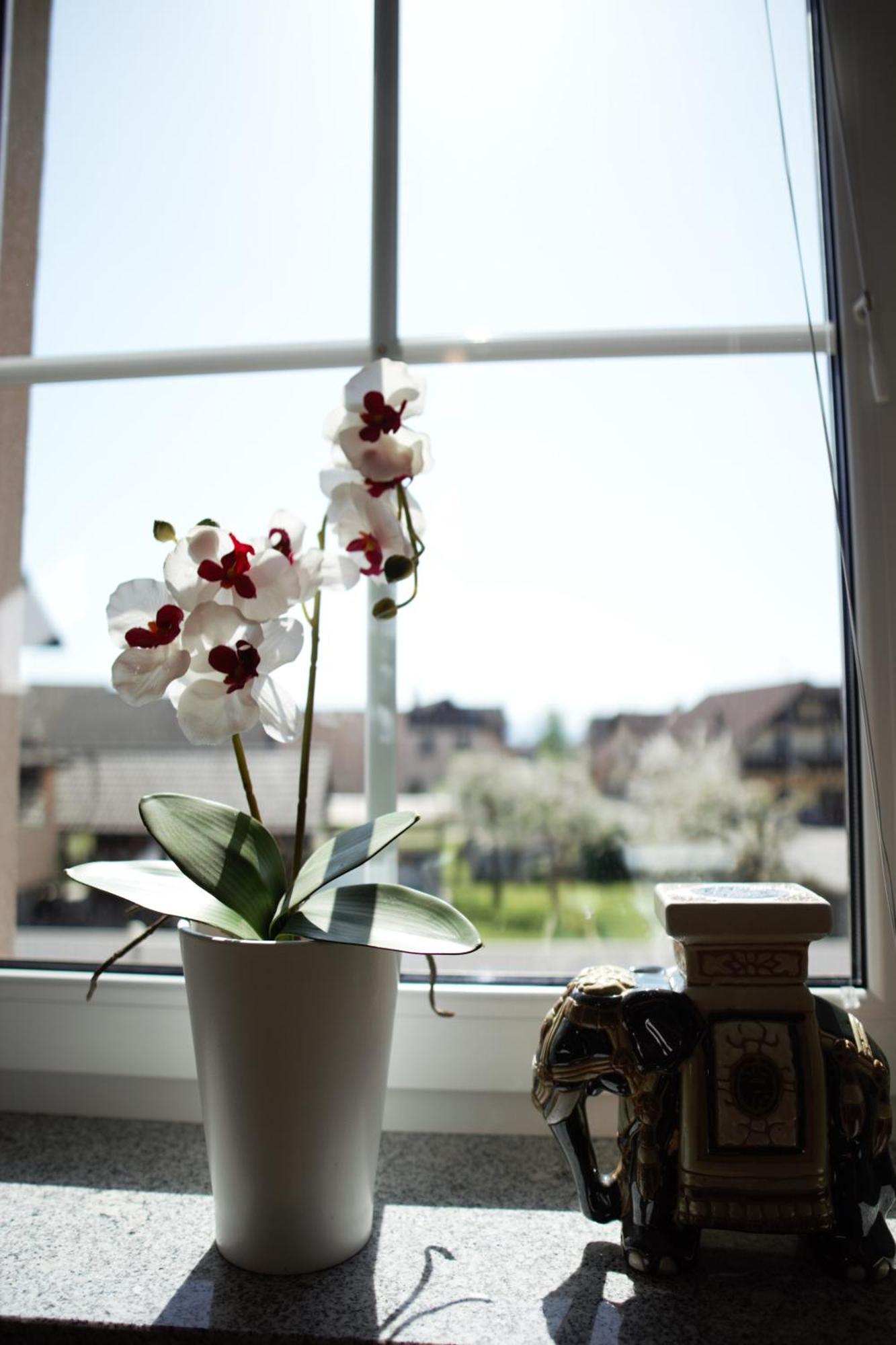 Domen'S Cozy Rentals Kranj Buitenkant foto