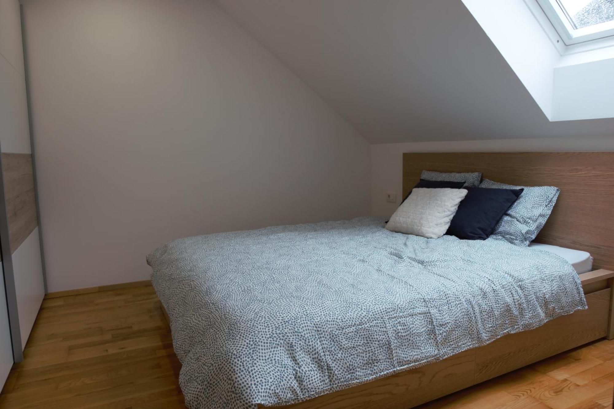Domen'S Cozy Rentals Kranj Buitenkant foto
